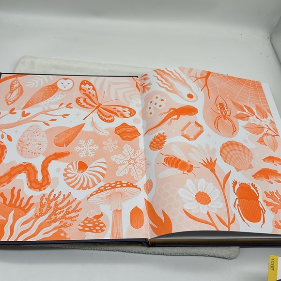 Nature’s Treasures-Tales of more than 100 Extraordinary Objects from Nature - Picture 4 of 14